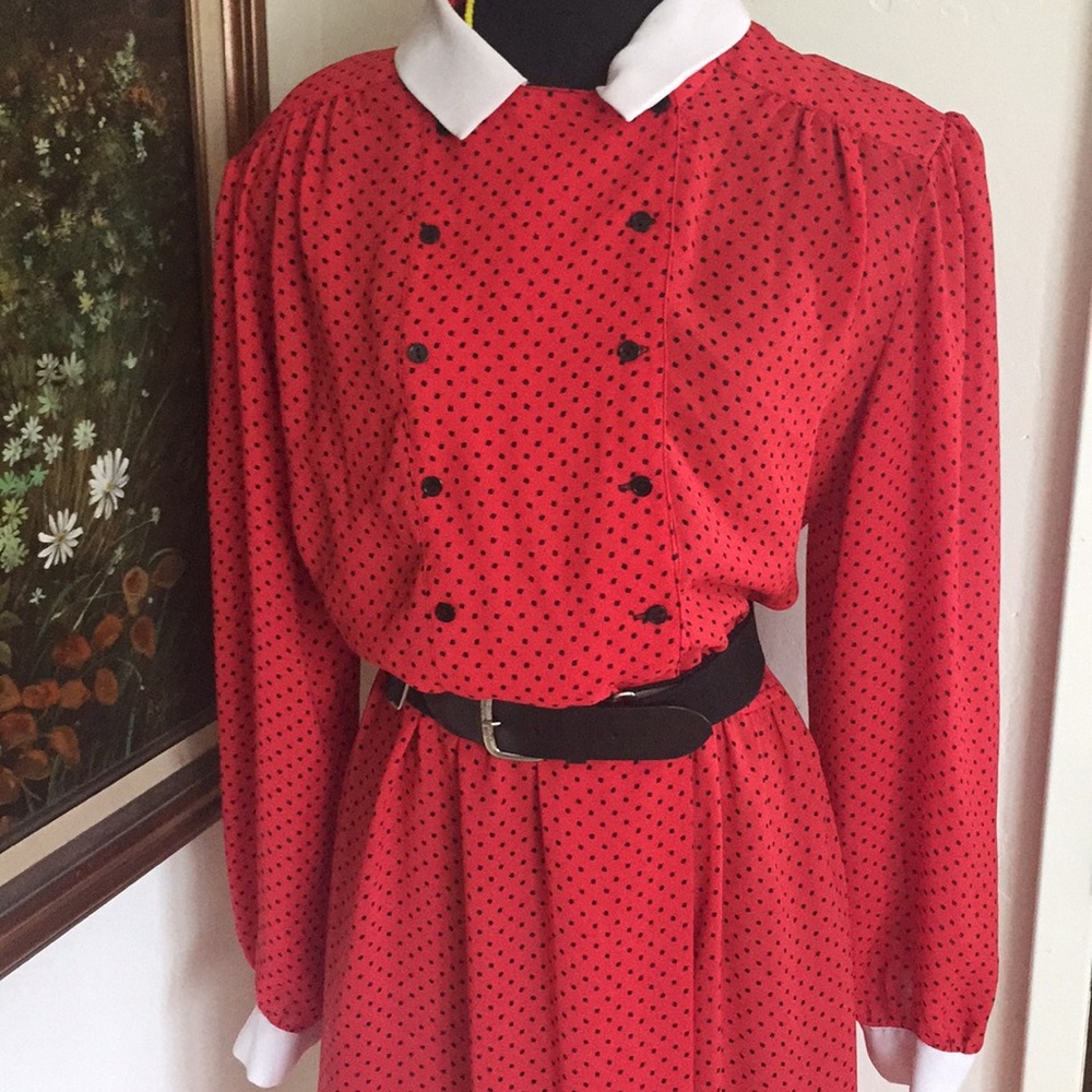 Vintage chiffon dress - Picture 2 of 6